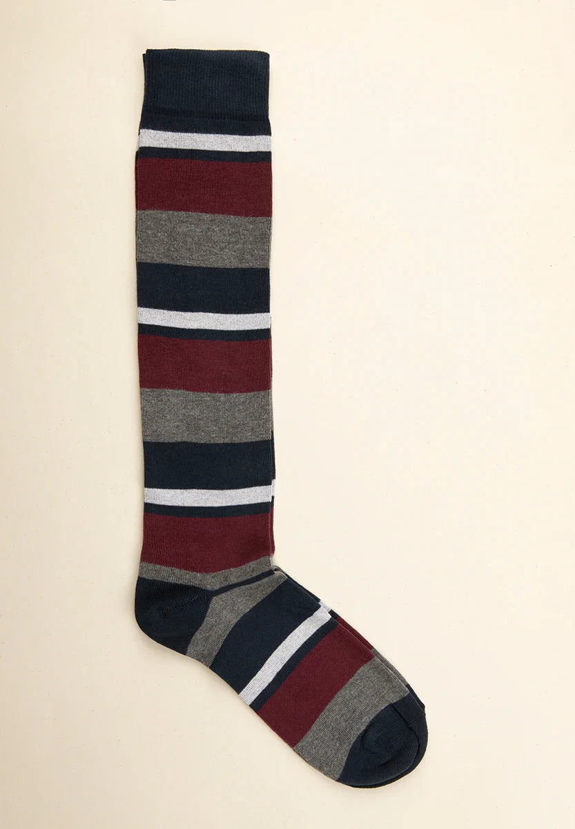 Burgundy blue striped stretch cotton sock