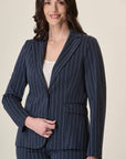Blue Pinstripe Jacket With Milanese Stitch