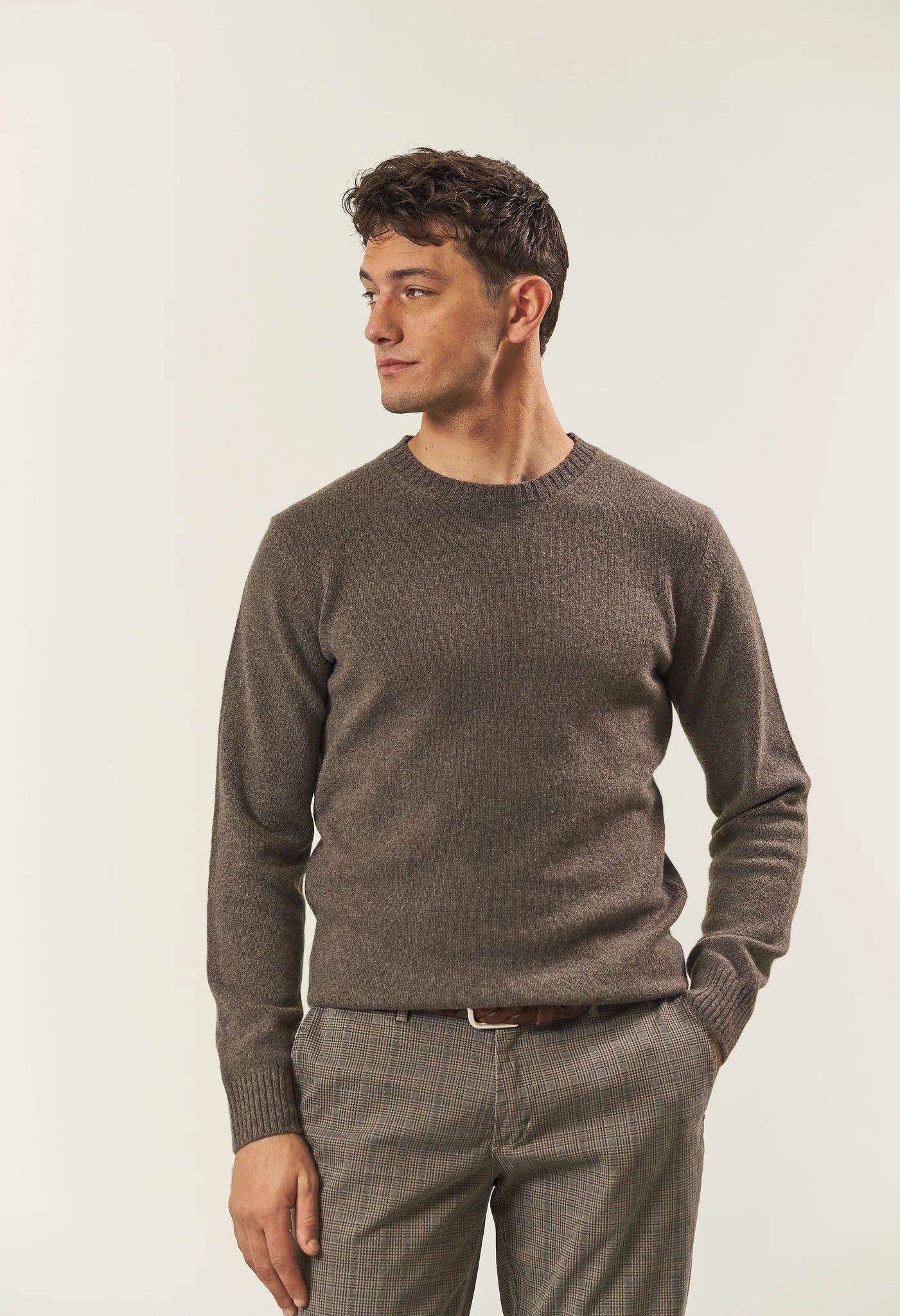 Pure brown cashmere crewneck